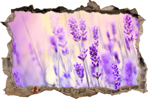 Lavendel im Retro Look  3D Wandtattoo Wanddurchbruch