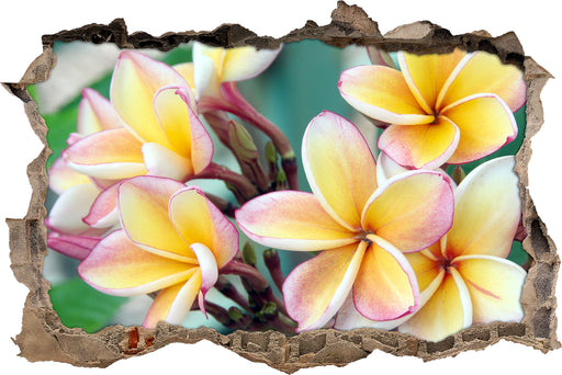 Monoi Blüten auf Hawaii  3D Wandtattoo Wanddurchbruch