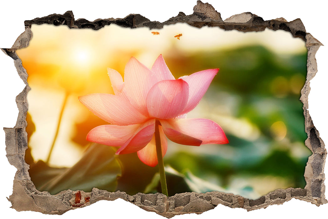 Pixxprint Lotus im Abendlicht, 3D Wandtattoo