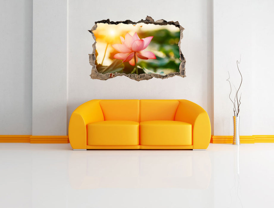 Lotus im Abendlicht 3D Wandtattoo Wanddurchbruch Wand