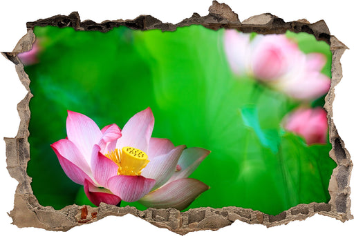 Wunderschöne Lotusblüten  3D Wandtattoo Wanddurchbruch