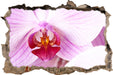 Prächtige Rosa Orchidee  3D Wandtattoo Wanddurchbruch