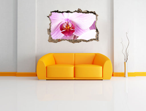 Prächtige Rosa Orchidee 3D Wandtattoo Wanddurchbruch Wand