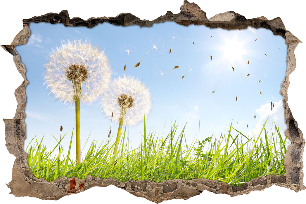 Pixxprint Pusteblumen auf Frühlingswiese, 3D Wandtattoo