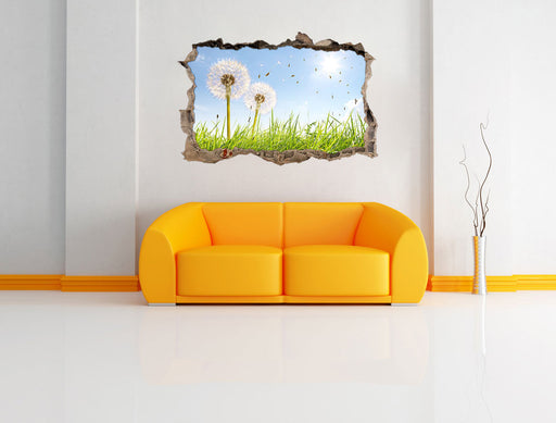 Pusteblumen auf Frühlingswiese 3D Wandtattoo Wanddurchbruch Wand