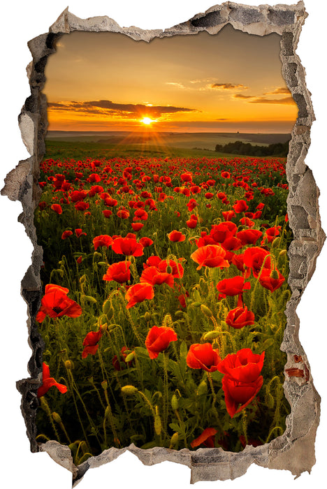 Pixxprint Mohnwiese im Sonnenuntergang, 3D Wandtattoo