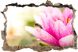 Winziges Biene auf Seerosenblüte  3D Wandtattoo Wanddurchbruch