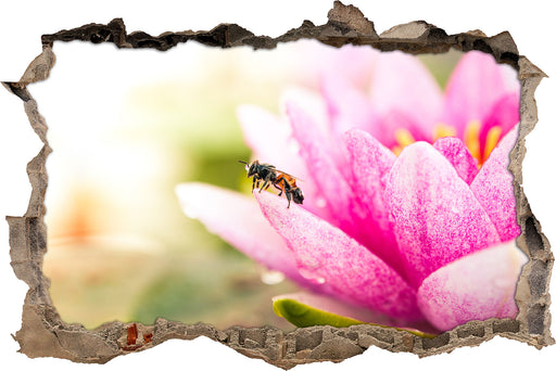 Winziges Biene auf Seerosenblüte  3D Wandtattoo Wanddurchbruch