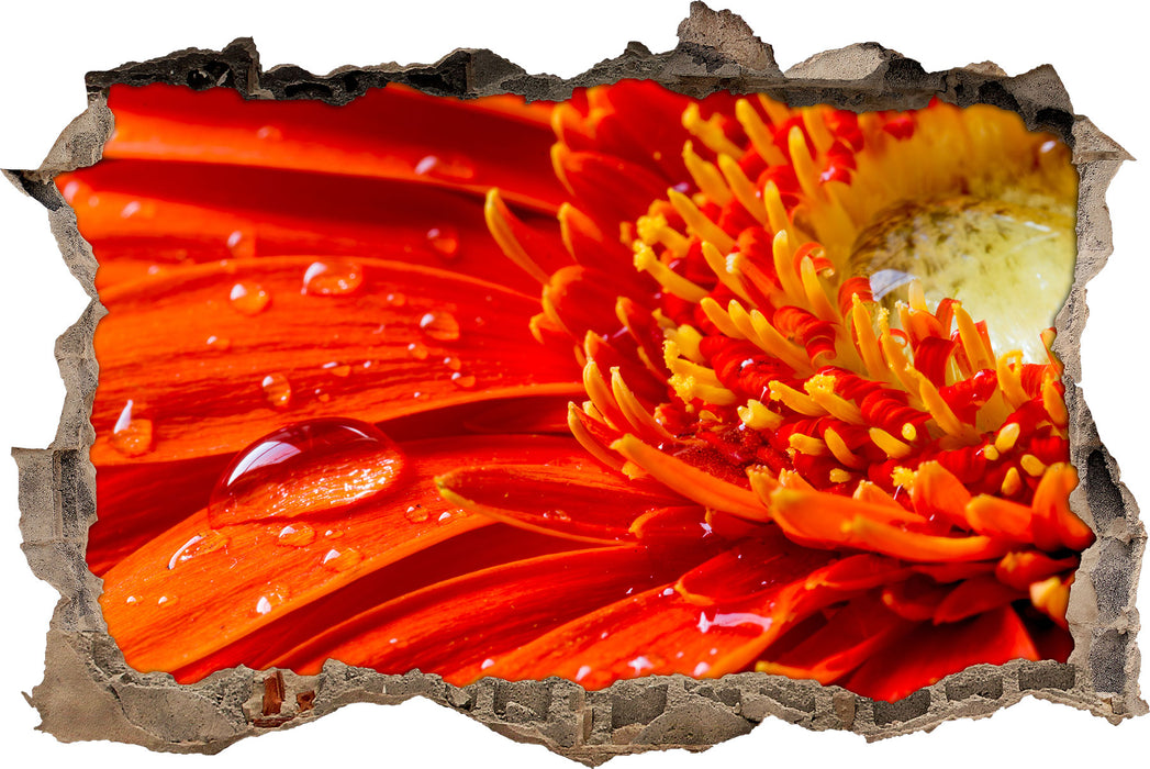 Pixxprint Gerbera mit Wassertropfen, 3D Wandtattoo