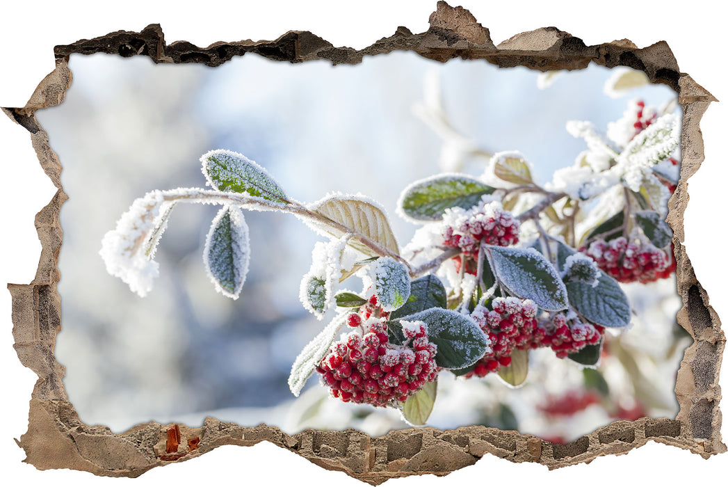 Pixxprint Vogelbeeren im Winter, 3D Wandtattoo