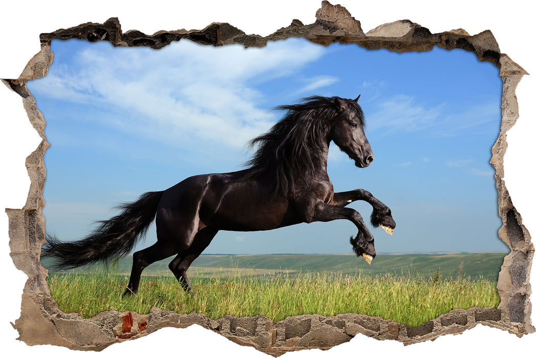 Pixxprint Schwarzer Hengst auf grünen Wiese, 3D Wandtattoo