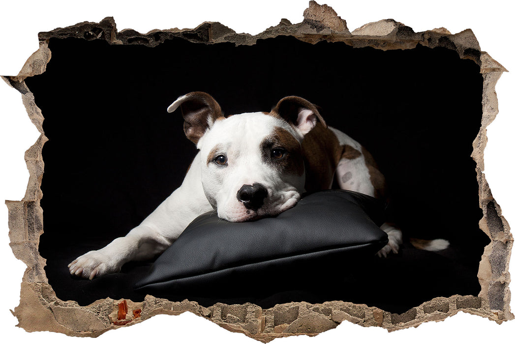 Pixxprint Dark Süßer American Staffordshire, 3D Wandtattoo