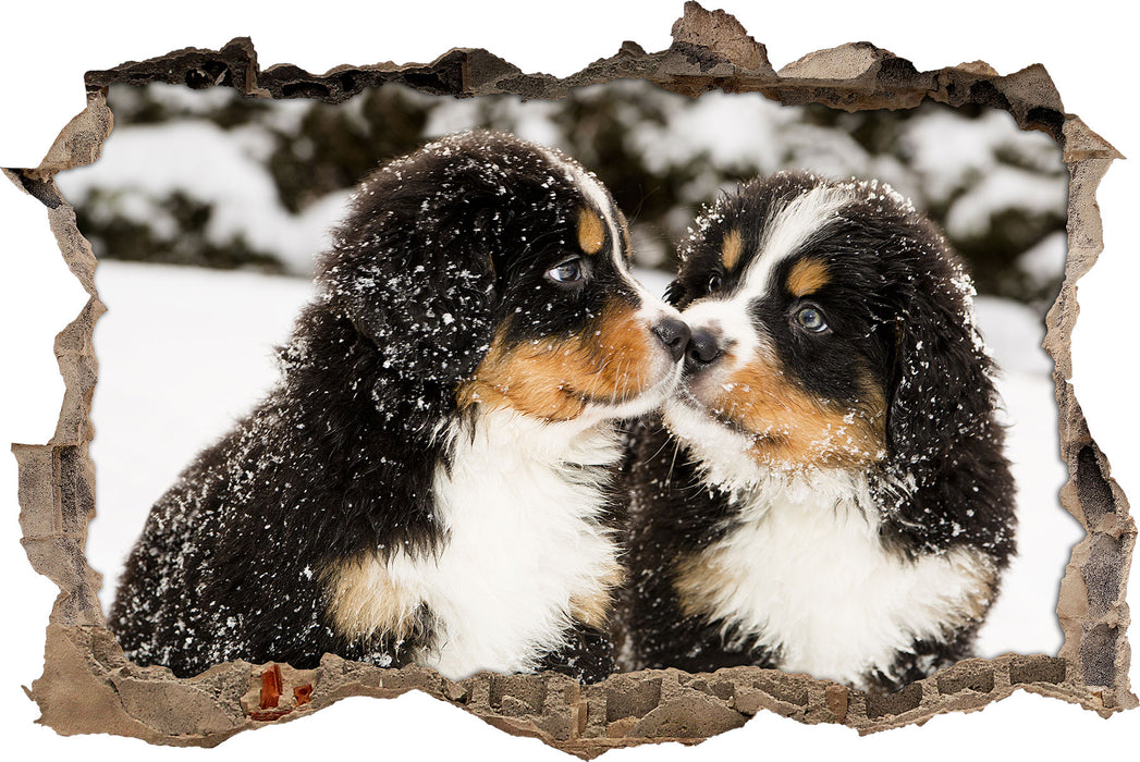 Pixxprint Bernersennen Hunde Welpen, 3D Wandtattoo