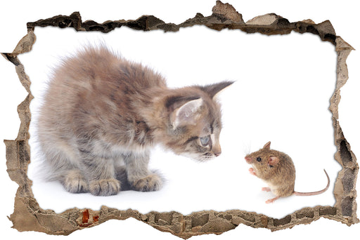 Katze und Maus Freunde  3D Wandtattoo Wanddurchbruch