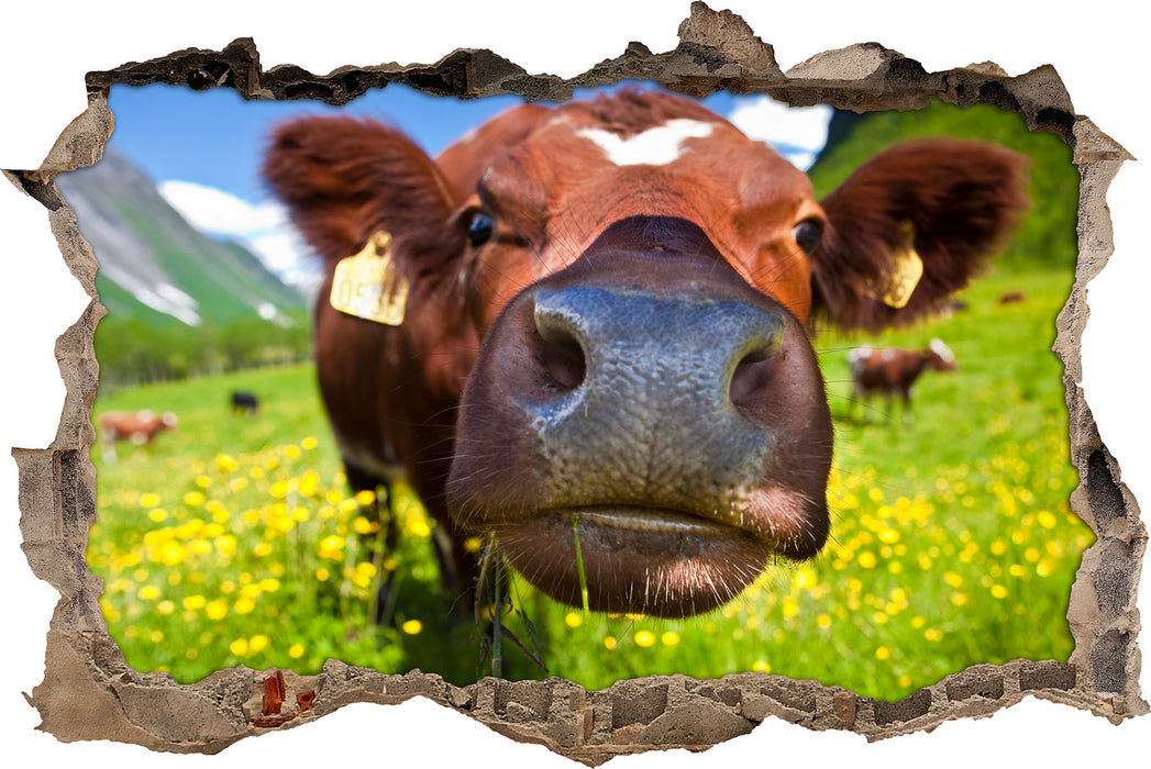 Pixxprint Alpen Kuh auf Bergwiese, 3D Wandtattoo
