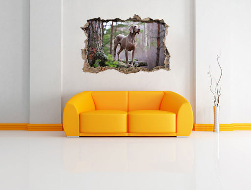 Edler Weimaraner im Wald 3D Wandtattoo Wanddurchbruch Wand