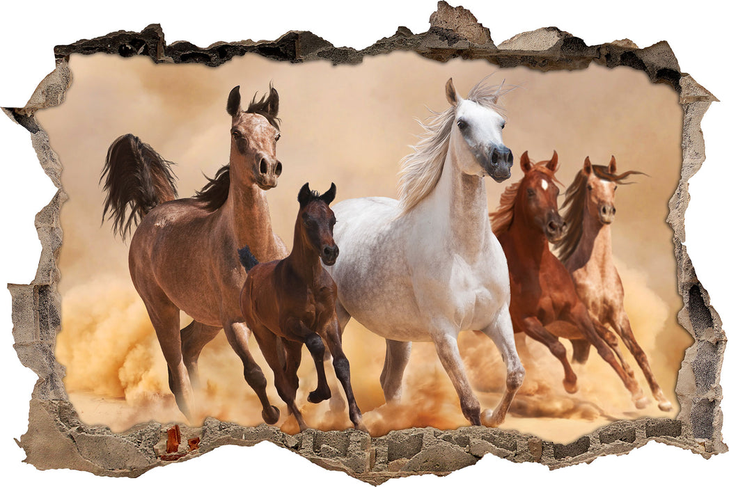 Western Pferde mit Fohlen  3D Wandtattoo Wanddurchbruch