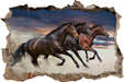 Drei wilde Westernpferde  3D Wandtattoo Wanddurchbruch
