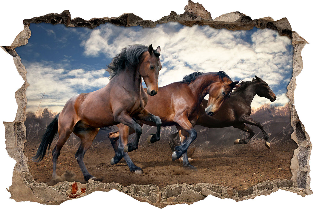 Pixxprint Wilde freie Pferde, 3D Wandtattoo