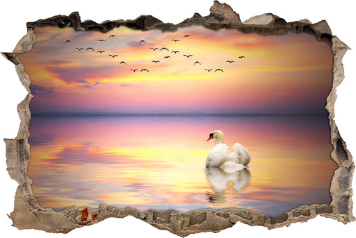 Schwan bei Sonnenuntergang  3D Wandtattoo Wanddurchbruch