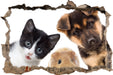 Trio Hund Katze Meerschwein 3D Wandtattoo Wanddurchbruch