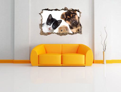 Trio Hund Katze Meerschwein 3D Wandtattoo Wanddurchbruch Wand