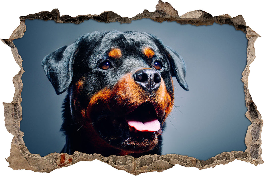 Pixxprint Treuer Rottweiler, 3D Wandtattoo