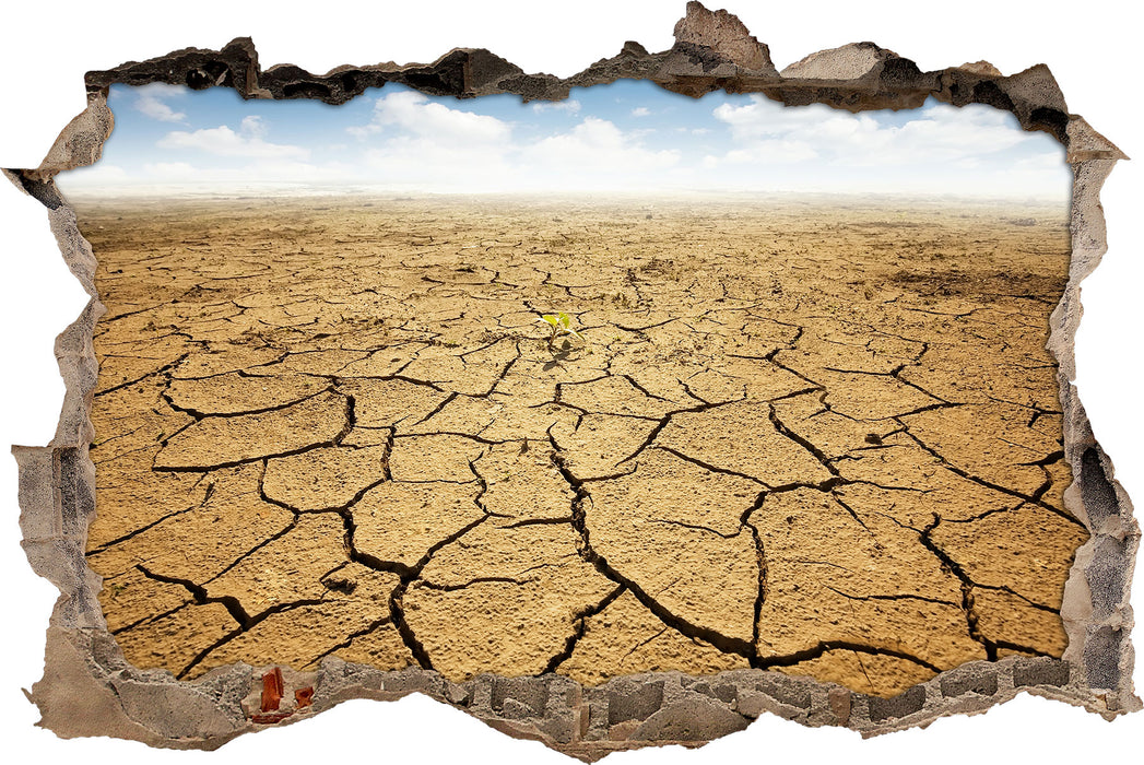 Pixxprint Rissiger Wüstenboden, 3D Wandtattoo