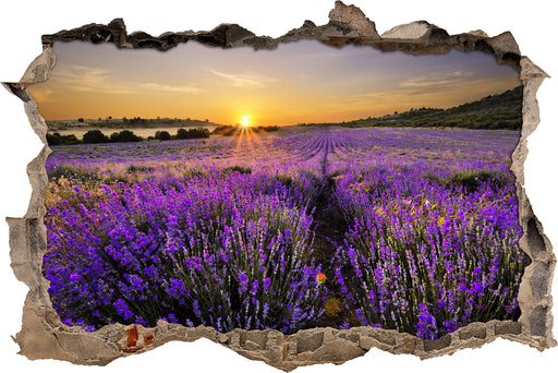 Lavendelfeld in Frankreich  3D Wandtattoo Wanddurchbruch