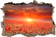 Mohnblütenfeld bei Sonnenuntergang  3D Wandtattoo Wanddurchbruch