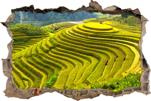 Reisplantagen Treppenfelder  3D Wandtattoo Wanddurchbruch