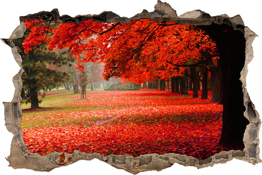 Rot gefärbter Park im Herbst 3D Wandtattoo Wanddurchbruch