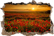Mohnblütenfeld bei Sonnenuntergang 3D Wandtattoo Wanddurchbruch