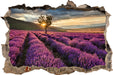 Lavendel Provence mit Baum 3D Wandtattoo Wanddurchbruch