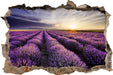 Lavendel Provence Landschaft 3D Wandtattoo Wanddurchbruch