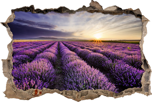 Lavendel Provence Landschaft 3D Wandtattoo Wanddurchbruch