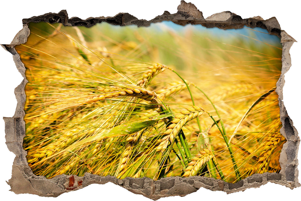 Pixxprint Goldene Getreide Ären, 3D Wandtattoo