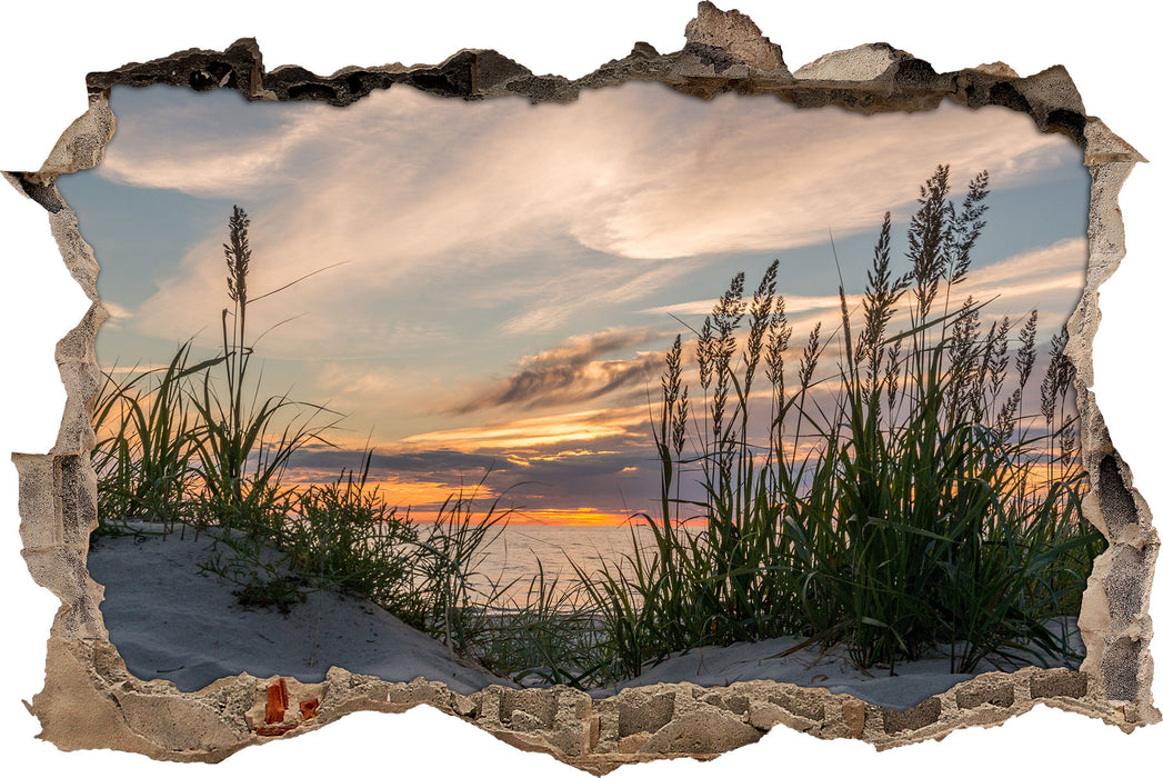 Gras am Strand bei Sonnenuntergang 3D Wandtattoo Wanddurchbruch