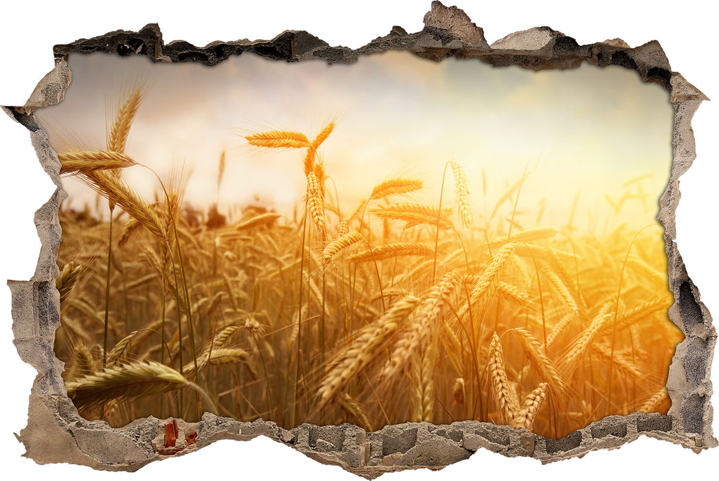 Pixxprint Getreide im Sonnenlicht, 3D Wandtattoo