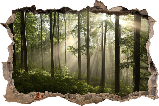 Sonnenstrahlen in Wäldern 3D Wandtattoo Wanddurchbruch