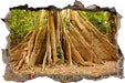 Mächtiger Urwald Baum  3D Wandtattoo Wanddurchbruch