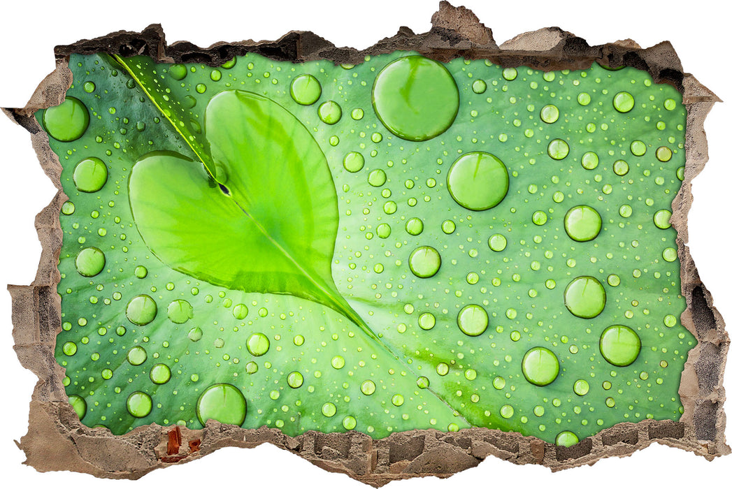 Pixxprint Herz aus Tautropfen Blatt, 3D Wandtattoo
