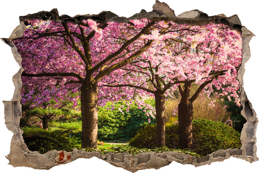 Rosa blühende Kirschbäume  3D Wandtattoo Wanddurchbruch
