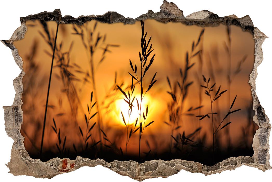 Pixxprint Gras bei Sonnenuntergang, 3D Wandtattoo