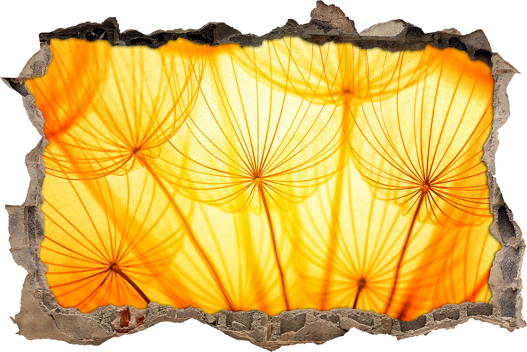 Pusteblumen oranges Licht 3D Wandtattoo Wanddurchbruch