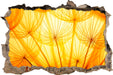 Pusteblumen oranges Licht 3D Wandtattoo Wanddurchbruch