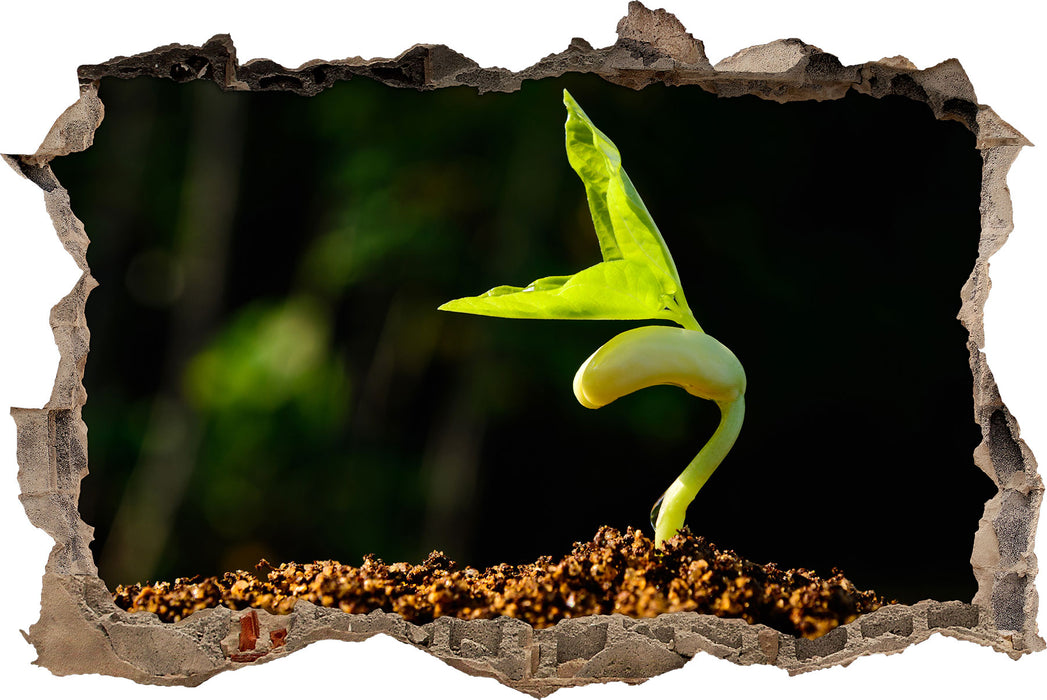 Pixxprint Kleiner grüner Keimling, 3D Wandtattoo