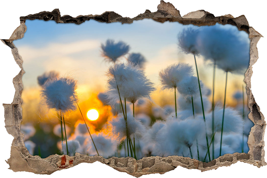 Pixxprint Baumwollblüten im Sonnenuntergang, 3D Wandtattoo