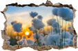 Baumwollblüten im Sonnenuntergang 3D Wandtattoo Wanddurchbruch