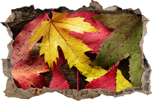 Bunte Herbstblätter  3D Wandtattoo Wanddurchbruch